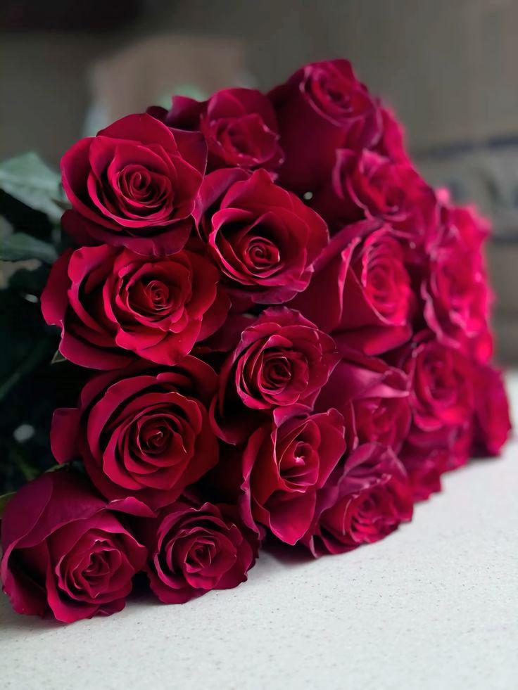 Eternal Blush: A Symphony of Blooms